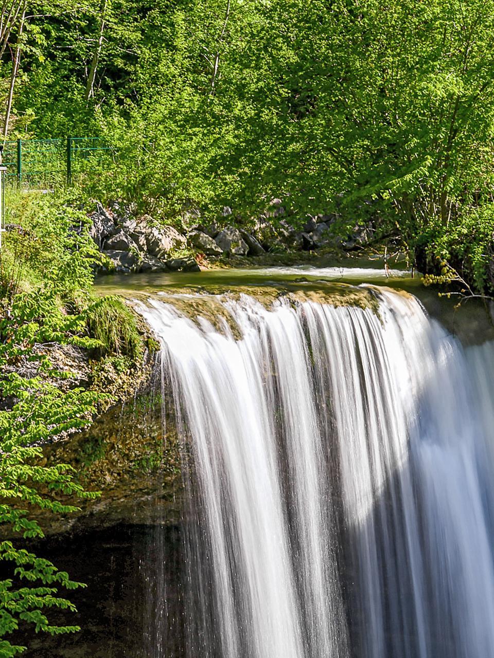 Scheidegger Wasserfall in Deutschland im Sommer
